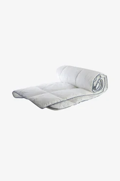 Peitto Blåklocka, medium
