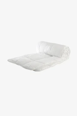 Peitto Gullviva, medium
