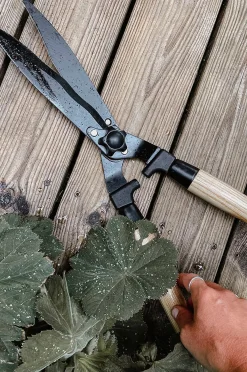 Pensassakset Deluxe
