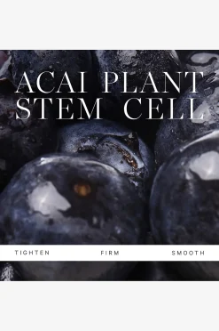 Plant Stem Cell Retinol Alternative Moisturizer