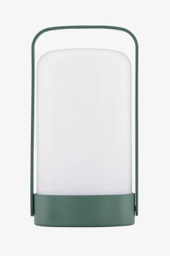 Pöytävalaisin Fern