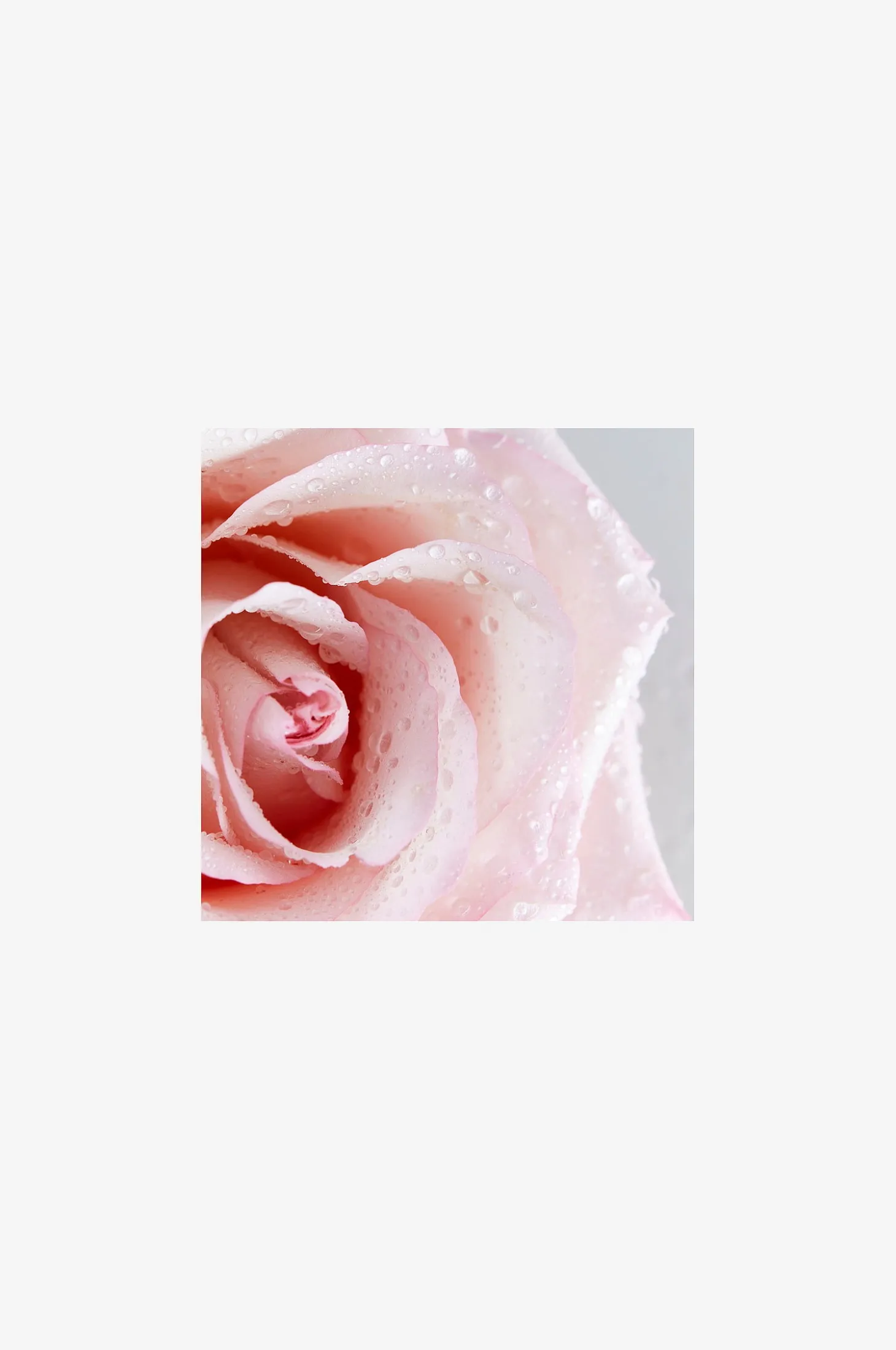 Rose Care Micellar Water 400 ml