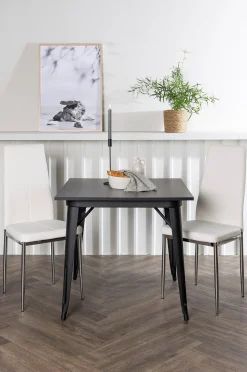 Ruokailuryhmä Tempe ja tuolit Pastill, 2 kpl