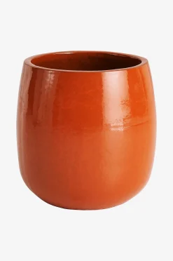 Ruukku Daggkåpa korkeus 47 cm