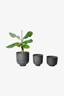 Ruukut Charcoal, 3 kpl