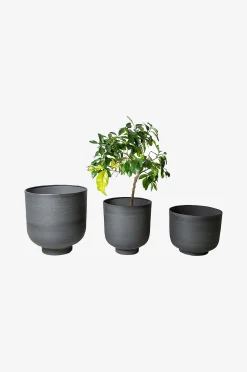 Ruukut Charcoal, 3 kpl