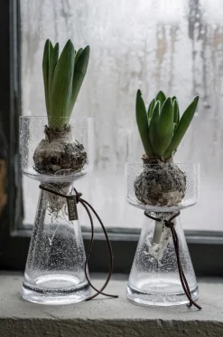 Sipulimaljakko Ø 8 cm, korkeus 20 cm kuplivaa lasia.