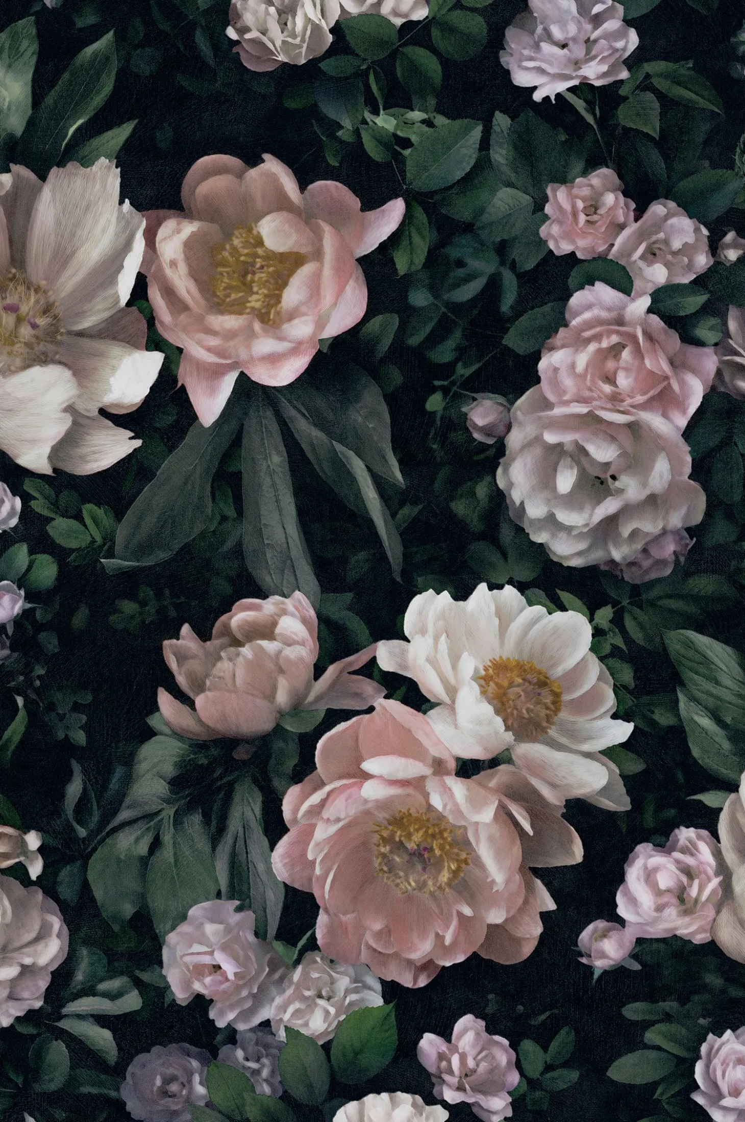 Tapetti New Dawn Rose