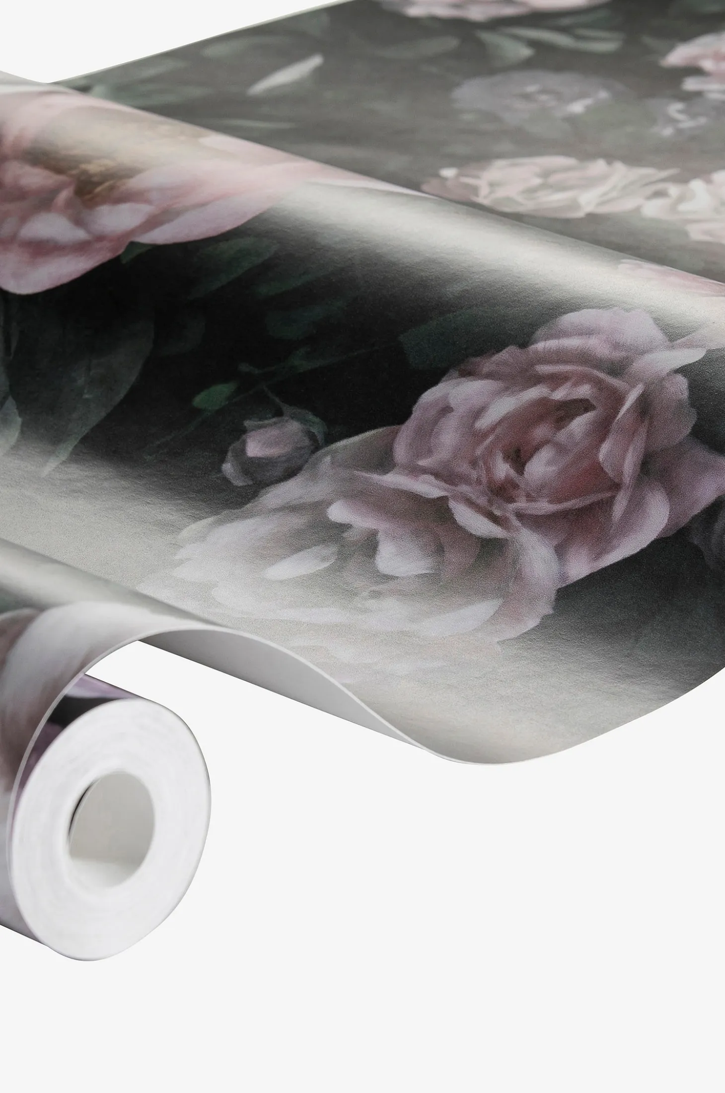 Tapetti New Dawn Rose