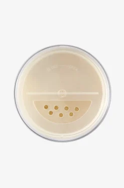 The Loose Setting Translucent Powder