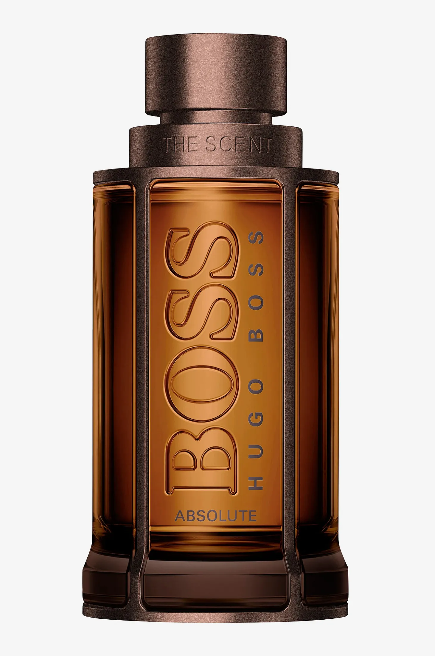 The Scent Absolute Edp 100 ml