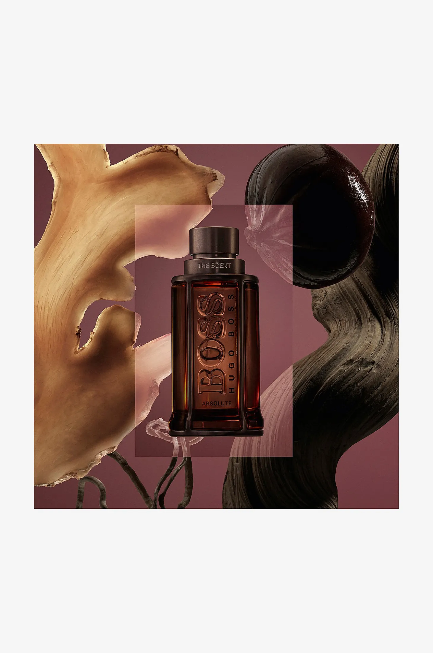 The Scent Absolute Edp 100 ml