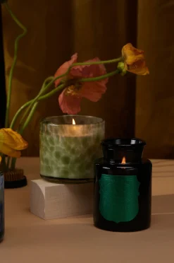 Tuoksukynttilä Apothecary Noir - Tabac & Pine (tupakka ja mänty)