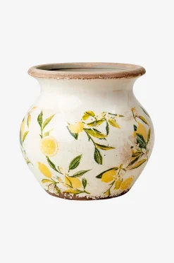 Urni Lemona S