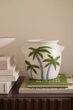 Vaasi Palm korkeus 20 cm