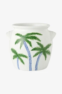 Vaasi Palm korkeus 20 cm