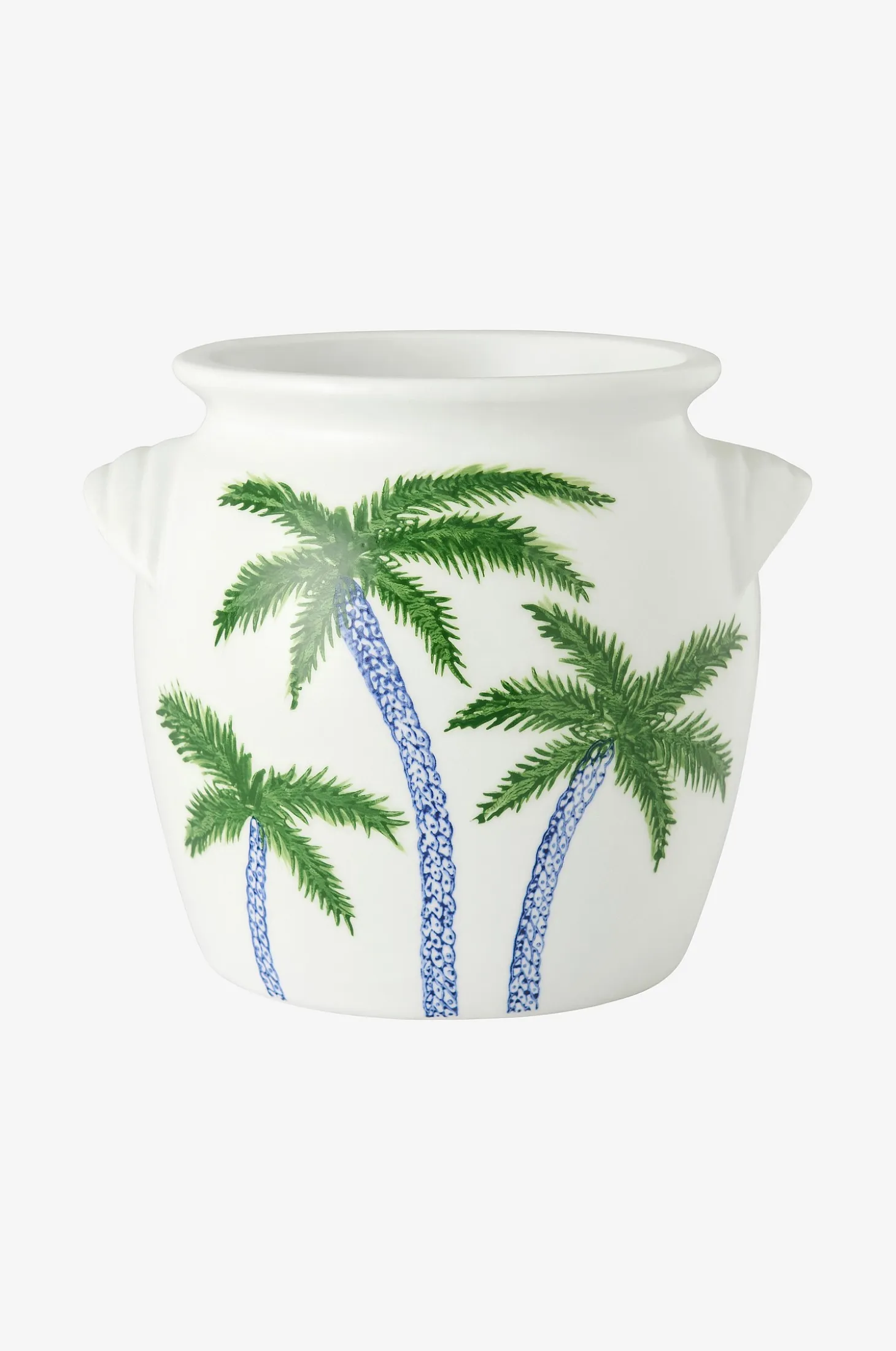 Vaasi Palm korkeus 20 cm